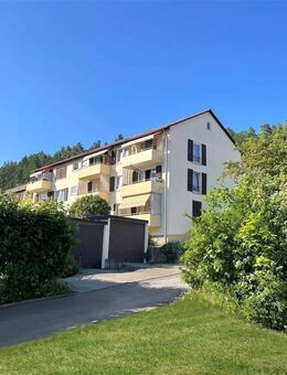 Renovierte 3 Zimmer Wohnung mit Balkon und Einbauküche zu vermieten! - Immendingen
