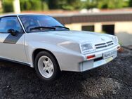 Modellauto 1:24 -OPEL--Commodore--Manta--Corsa--Diplomat--Record--Omega.. - Meckenheim