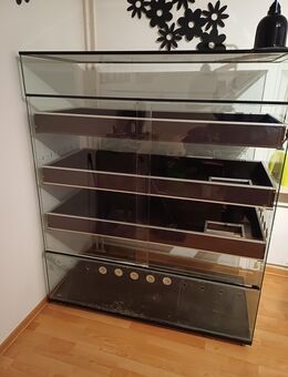 Terrarium und Wärmelampe - Schleswig