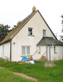 Ländliches Wohnen im Einfamilienhaus mit großem Grundstück - Lossatal