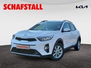 Kia Stonic Vision 1.2 NAVI 1.Hand PDC Sitzheizung Klima - Bergheim (Nordrhein-Westfalen)