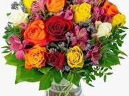 Nord Berliner Witwer, suche kluge, feminine Frau. - Berlin