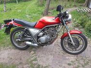 Yamaha SRX 600 Typ 1XM - Bötersen