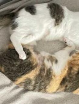 Hanny und Nanny warten schon auf dich - München