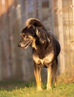 Bubulina braucht Vertrauen - Kallmünz