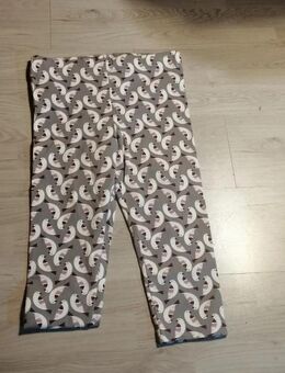 Graue Legging - Motiv Vögel - Gr. 128/134 - neu - Pirmasens