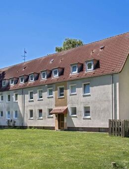 Bezug für sofort gesucht! - Herford (Hansestadt)
