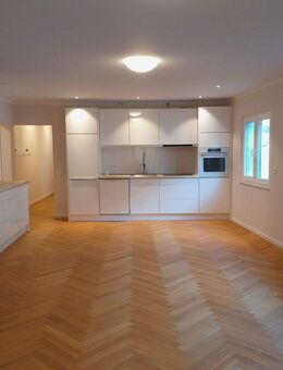 Große hochwertige 2-Zi.-Wohnung mit Dachterrasse mitten in Rodheim - Rosbach (Höhe)