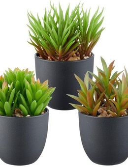 Kunstpflanze Sukkulenten, Creativ green, Höhe 13 cm, mit dekorativem Kies