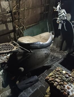 Roller zu verkaufen - Pragsdorf