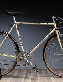 Gazelle Champion Mondial Randonneur / Halbrenner, Rahmenhöhe 56 cm, 1970er Jahre, toller Zustand und komplett überholt, super als Cityrad, - Varel