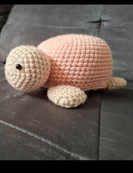 Kuschelige Schildkröte - Neukirchen (Hessen)