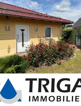 Wohnhaus im Bungalowstil in Niedersachswerfen gesucht? - Harztor