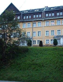 Gemütliche Zwei-Raum-Wohnung in Schwarzenberg - Schwarzenberg (Erzgebirge)