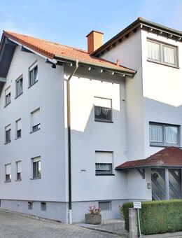 Soll es etwas Besonderes sein? Loftwohnung mit unverbaubarem Ausblick - Au (Rhein)