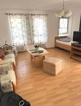 Großzügige 1-Zimmer-Eigentumswohnung mit Südbalkon in Leubnitz-Neuostra! - Dresden