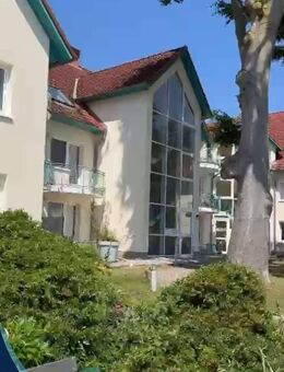 Strandnahes Wohnen auf Usedom - Exklusive 3-Zimmer-Wohnung mit zwei Balkonen - Zempin