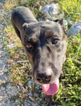 Goldige Godina: sozial,aktiv,lebensfroh - Hamburg