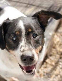 DENY - meine Besonderheiten akzeptieren - Overath