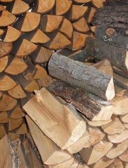 Brennholz Kaminholz Erle SRM 73 € - Hillerse