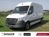 Mercedes Sprinter, 317 Kühlkasten L2H2, Jahr 2023 - Wietmarschen