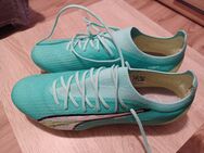 Puma Ultra Ultimate FG/AG Fußballschuhe - Reutlingen