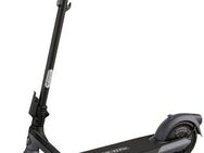 Segway E-Scooter KickScooter E2 PRO D, 20 km/h, Electric Scooter, mit Straßenzulassung, bis zu 35 km Reichweite