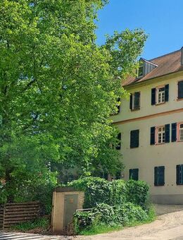Geschmackvolle Wohnung in saniertem Denkmal - Bensheim