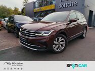 VW Tiguan, 1.5 Elegance Allwetter, Jahr 2023 - Potsdam