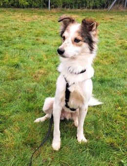 Luca sucht seine Familie - Bochum