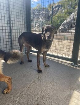 Sanfte Nela-Greta sucht Liebe - Hamburg