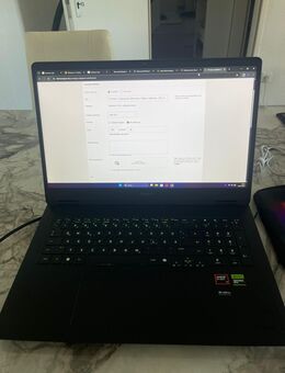 HP Omen 17 Gaming Notebook, Rtx 4060, Ryzen 7 8845hs, 32Gb Ram DDR5, 1 TB m.2 ssd - Altenstadt (Hessen)