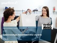 Selbstständiger Handelsvertreter (m/w/d) - Berlin