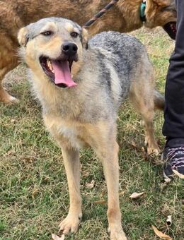 Freundlich + sozial = DINA ♥️ - München