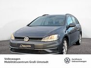 VW Golf Variant, 1.0 TSI Golf VII Comfortline, Jahr 2020 - Groß Umstadt