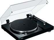 Yamaha TT-S303 Plattenspieler (Phono, Vorverstärker, integrierter Phono-EQ)