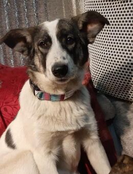 Janina - Mönchengladbach