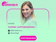 Vertriebs- und Projektassistent (m/w/d) in der Automobilzuliefererindustrie - Hennef (Sieg)