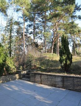 Modernisierte 2 Zi.-Dachgeschosswohnung in einem Zweifamilienhaus in Gifhorn - Nähe Innenstadt - Gifhorn