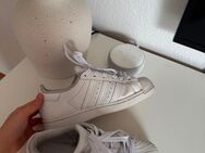 Adidas Superstar - Bielefeld Milse