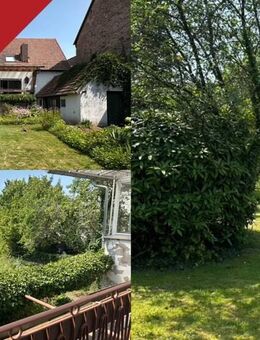 Platz im Überfluss - Zwei Häuser, vier Garagen, eine Scheune und ein großes Grundstück - Jettenbach (Rheinland-Pfalz)