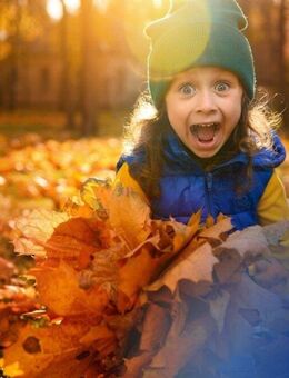 Ihr Traumhaus in Bernsdorf - Bien-Zenker macht es möglich - Bernsdorf (Regierungsbezirk Dresden)