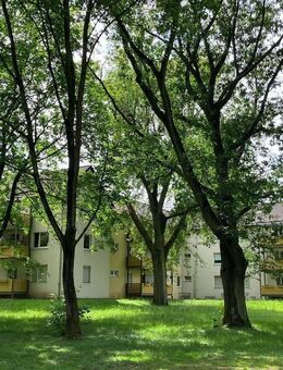 47101/25 Sonnige 2 Zimmer-Wohnung mit schönem Balkon in D-Reisholz - Düsseldorf