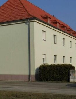 Garten und Fahrradschuppen inclusive - Lauta