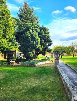 PROVISIONSFREI - LEBEN AUF DEM LAND + EFH MIT GROSSEM GRUNDSTÜCK + MÜHLENBECKER LAND /OT BUCHHORST - Mühlenbecker Land