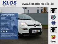 Fiat Panda, 1.0 HYBRID GSE 70PS CITY PAKET, Jahr 2022 - Kirn