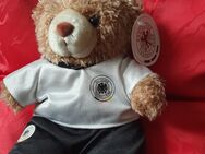 Teddy Deutscher Fußballbund - Bremen