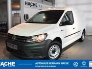 VW Caddy, 2.0 TDI Maxi Kasten EcoProfi, Jahr 2020 - Blomberg (Nordrhein-Westfalen)