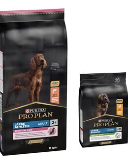 14 kg PURINA PRO PLAN Adult + 3 kg passendes Trockenfutter gratis! - 14 kg Large Athletic Sensitive Skin Lachs + 3 kg Large Robust Puppy Healthy Start