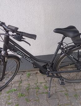 Damen-E-Bike 28 Zoll - Gingen (Fils)